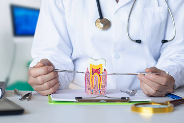 Best Emergency Root Canal Treatment in West Siloam Springs, OK
